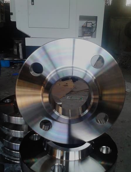Duplex Stainless 2205 UNS S32205 Flanges